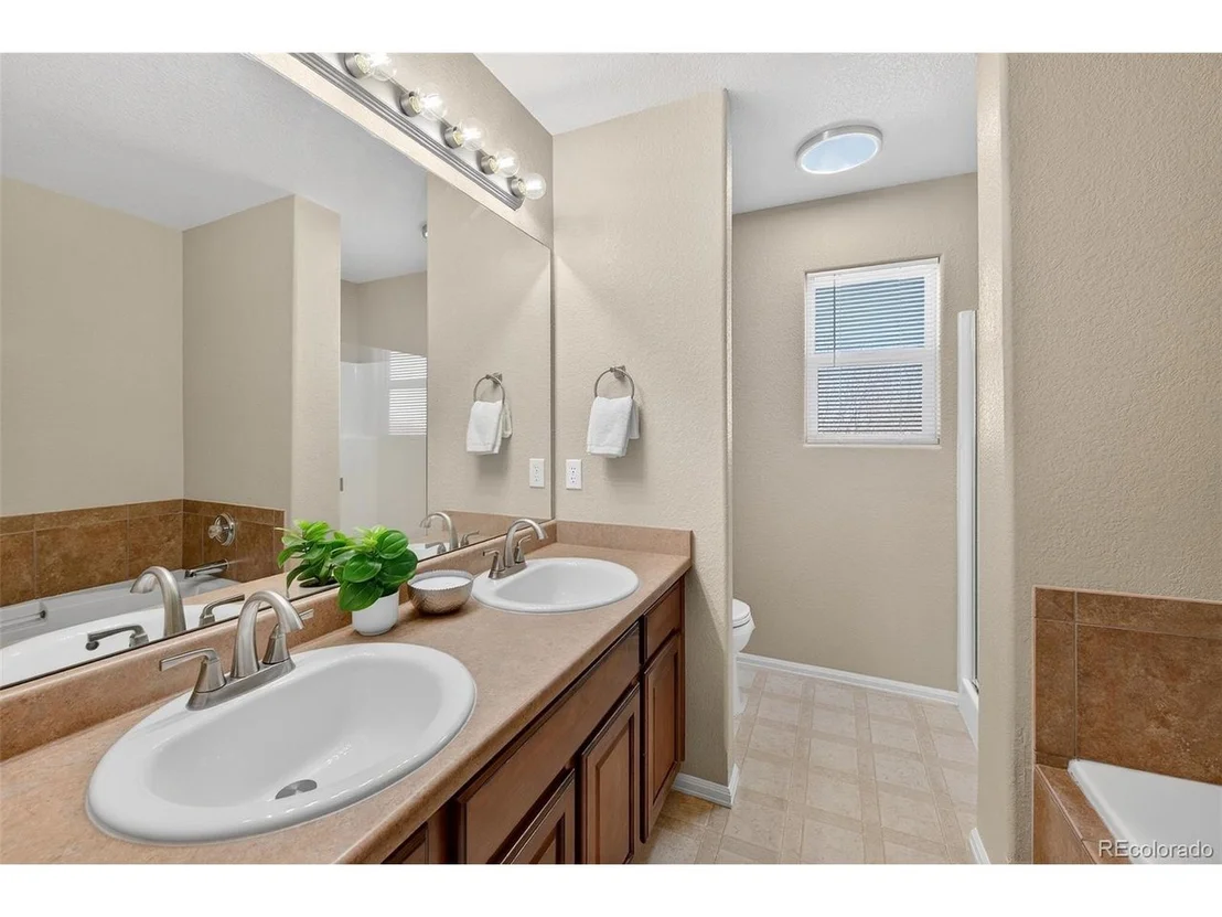 Photo of 3500 Ringtail Ln