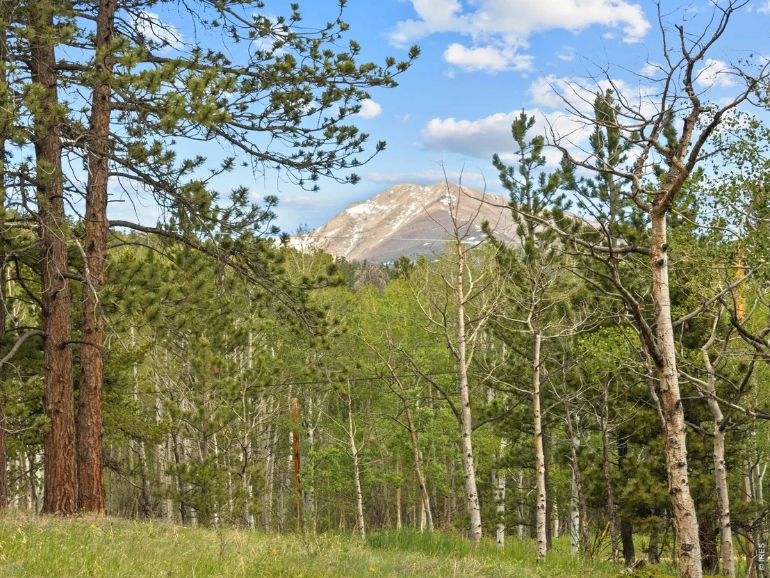 Photo of 839 Ski Rd