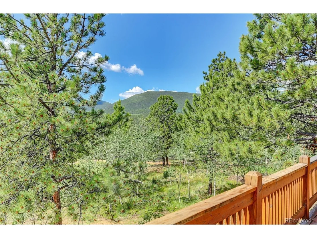 Photo of 111 Mount Evans Dr