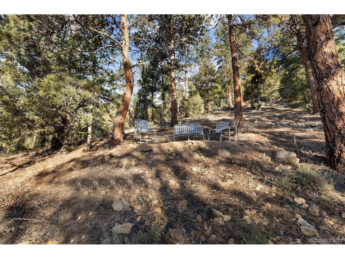 Photo of 91 Cedar Dr