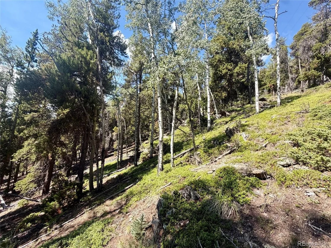 Photo of 0 Lodgepole Cir