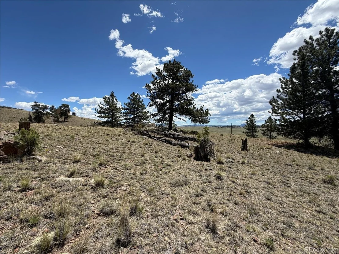 Photo of 595 Bridle Path