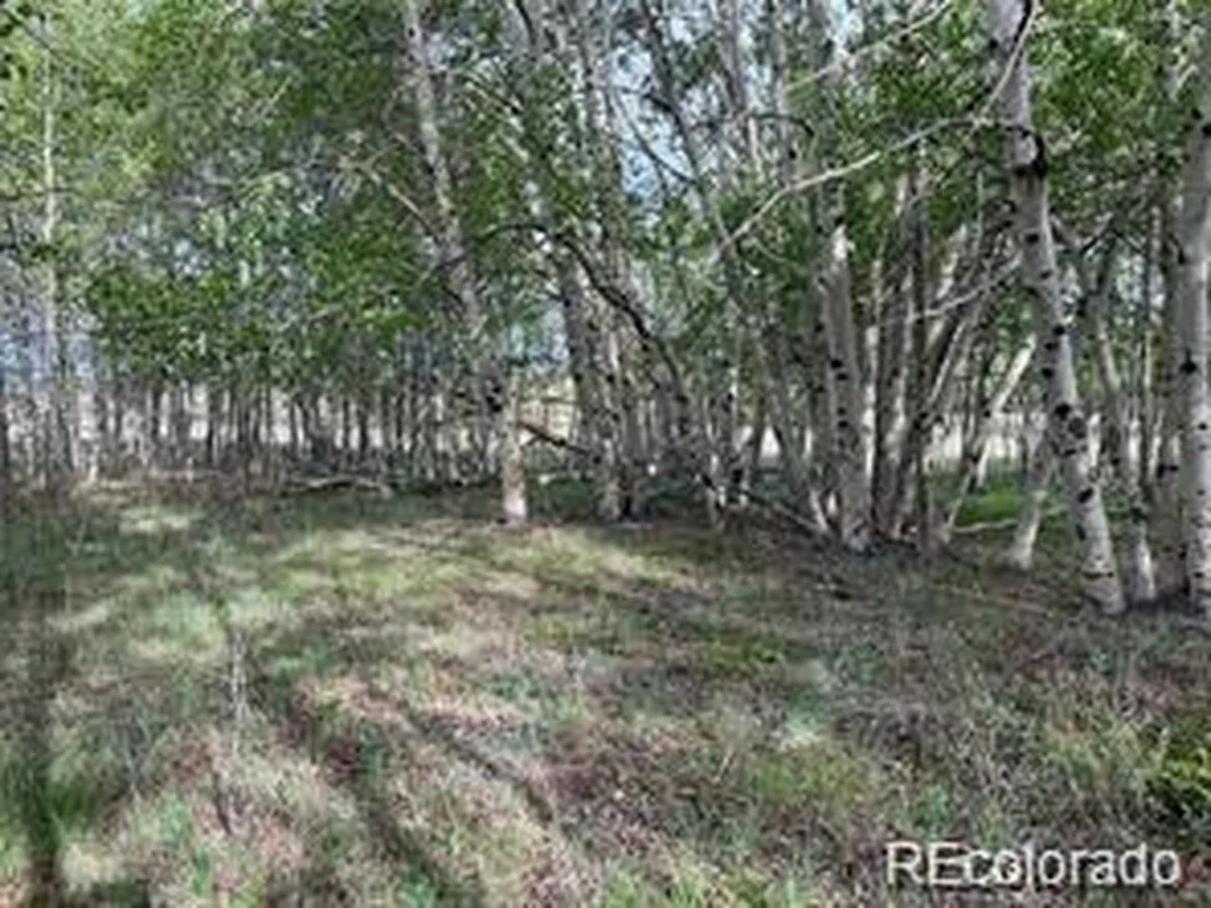 Photo of 1599 Campfire Rd