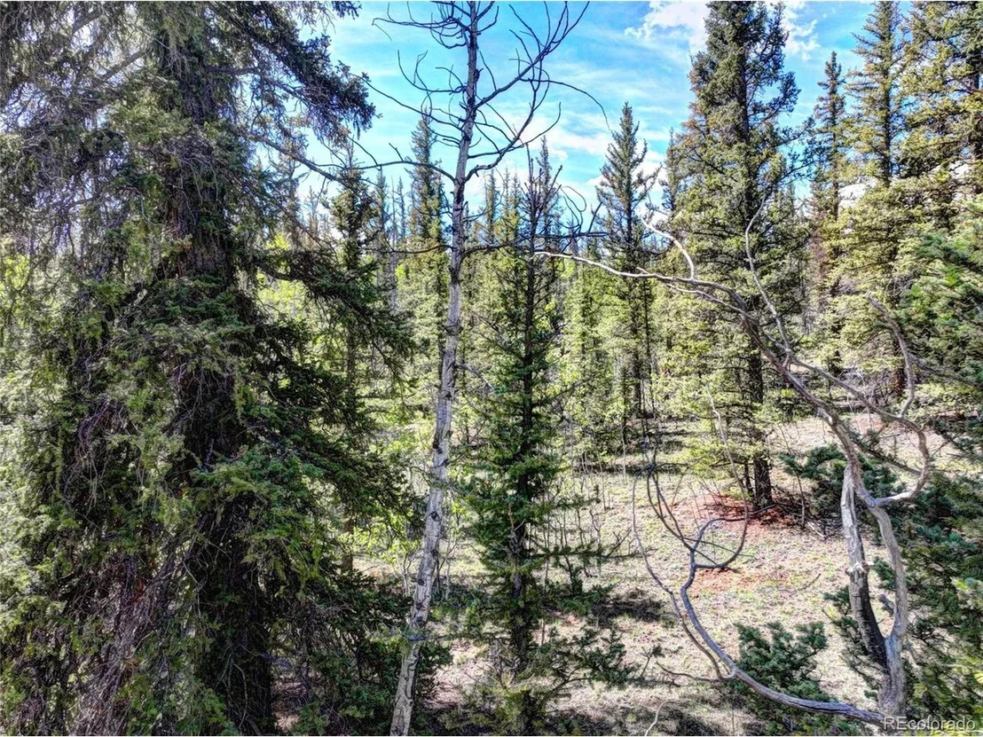 Photo of 75 Swiggler Rd
