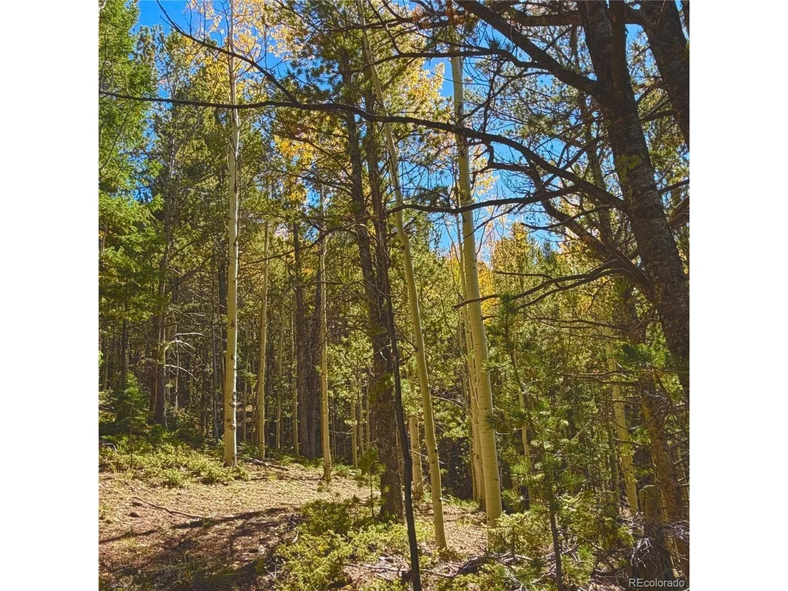 Photo of 773 Timber Ridge Rd