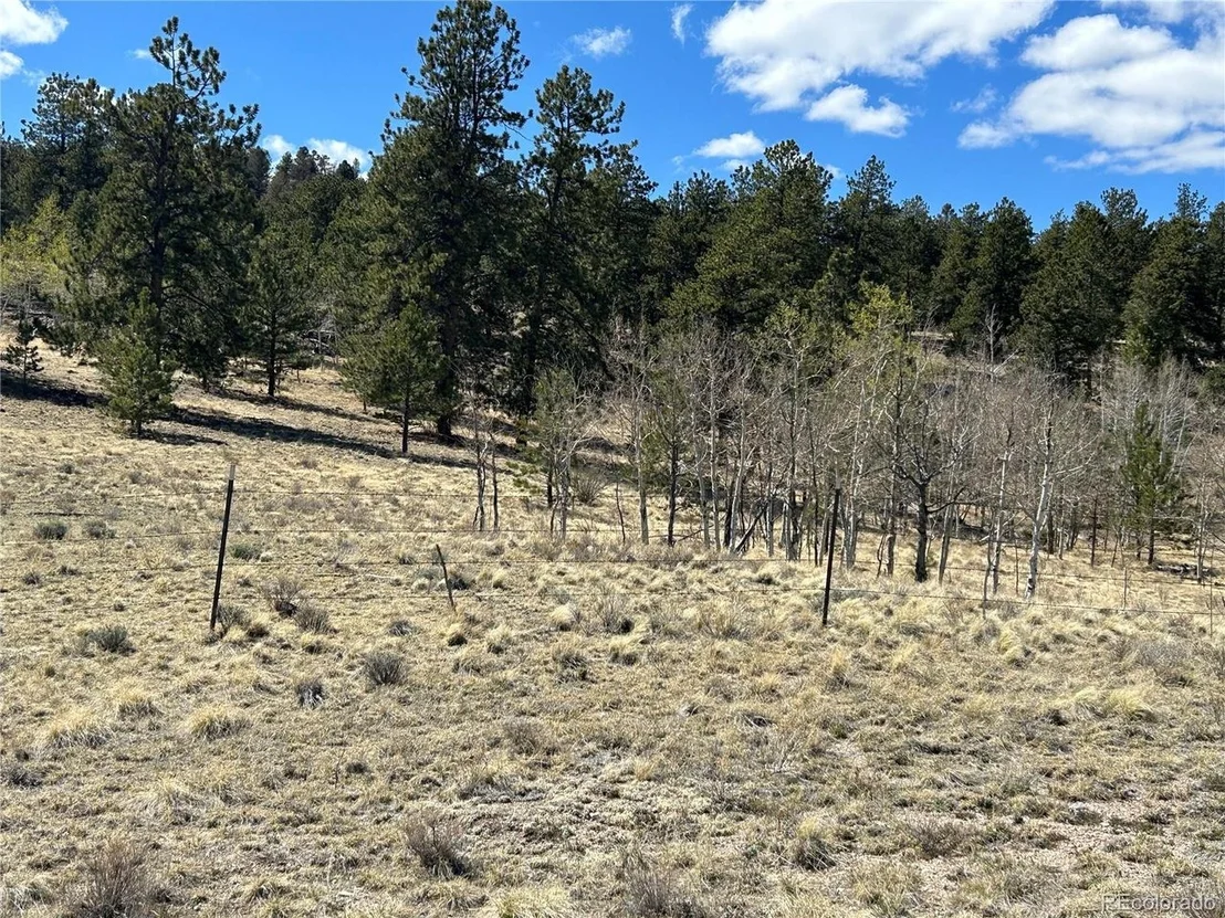 Photo of 51 Singletree Ln
