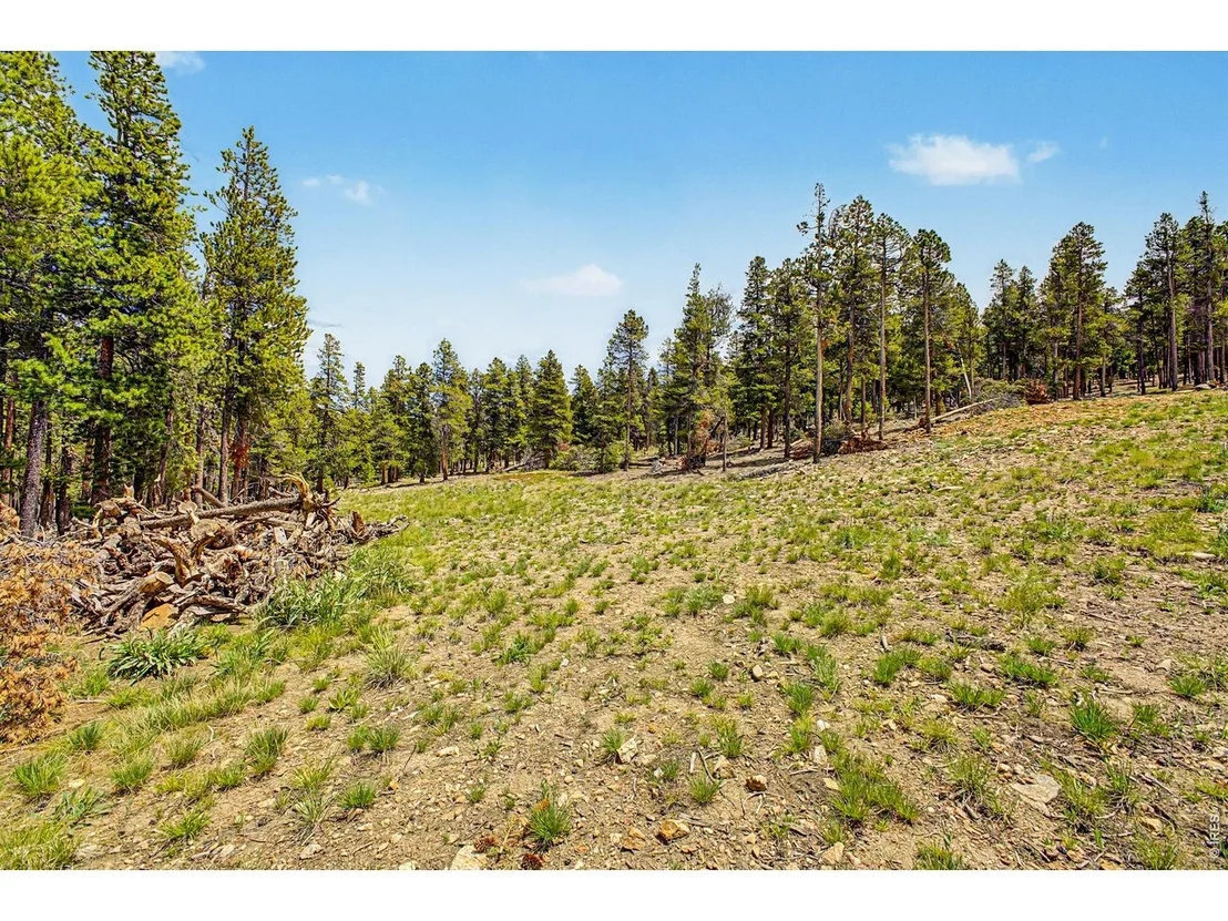 Photo of 52 Meadowlake Dr