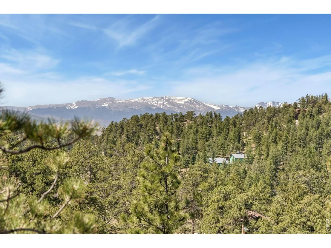 Photo of 298 Mount Massive Dr