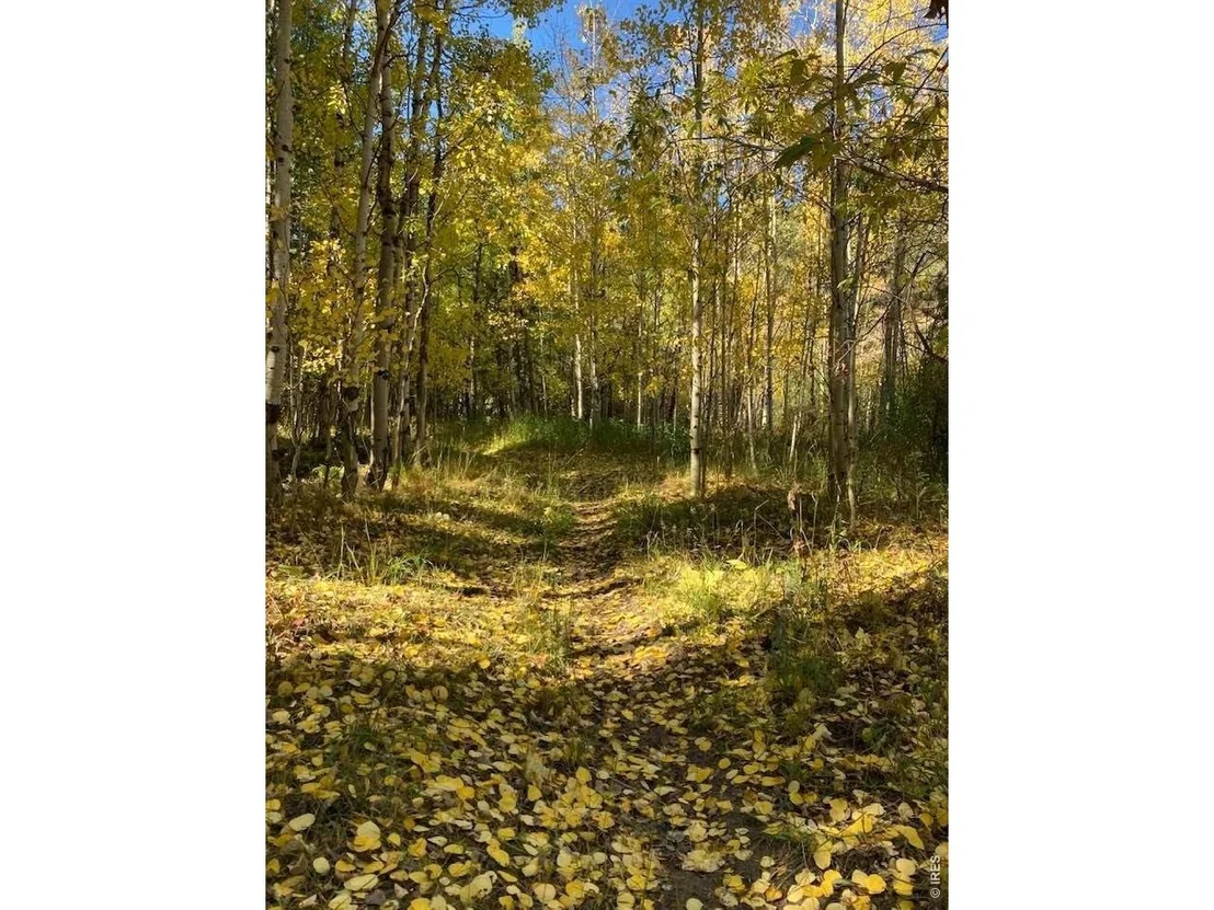 Photo of 32048 Highway 72