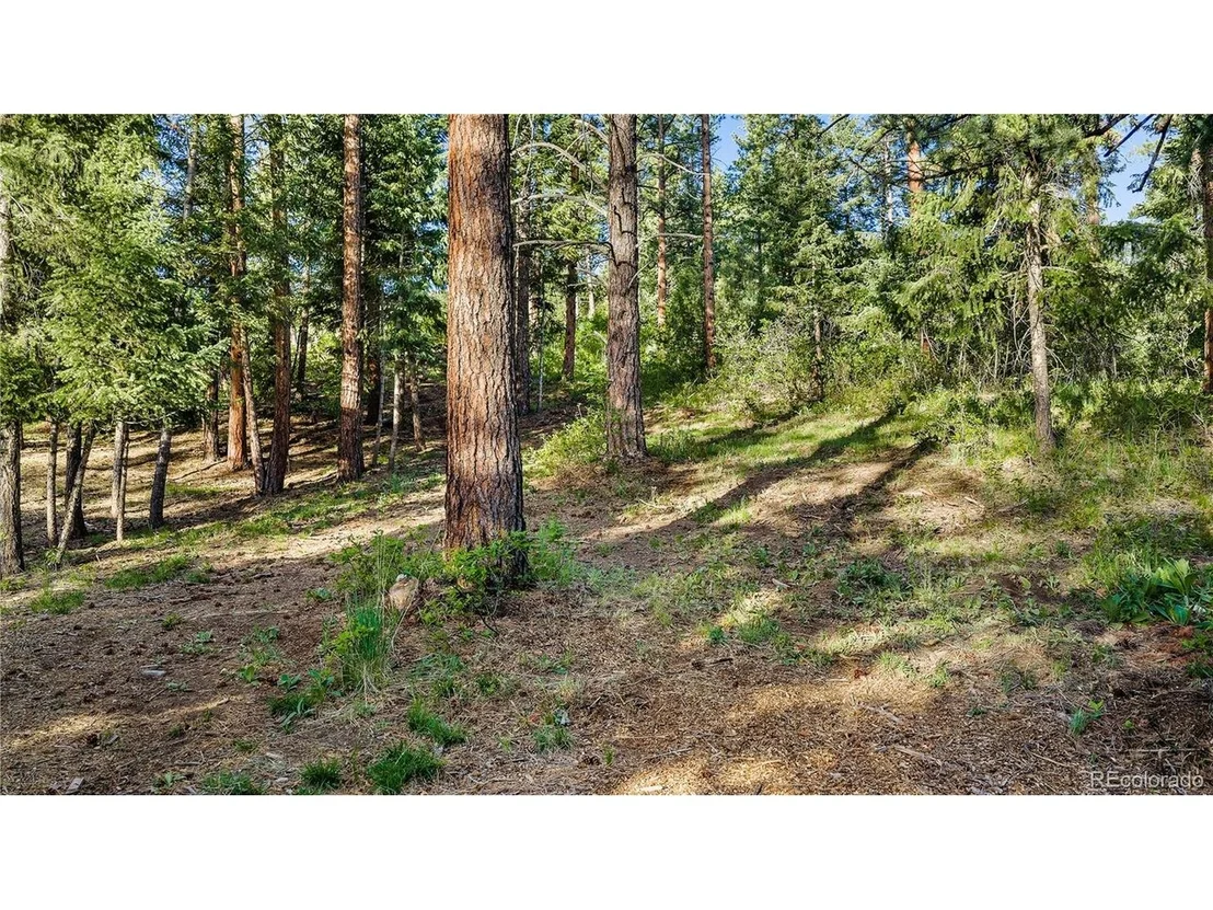 Photo of 8125 Bannock Dr
