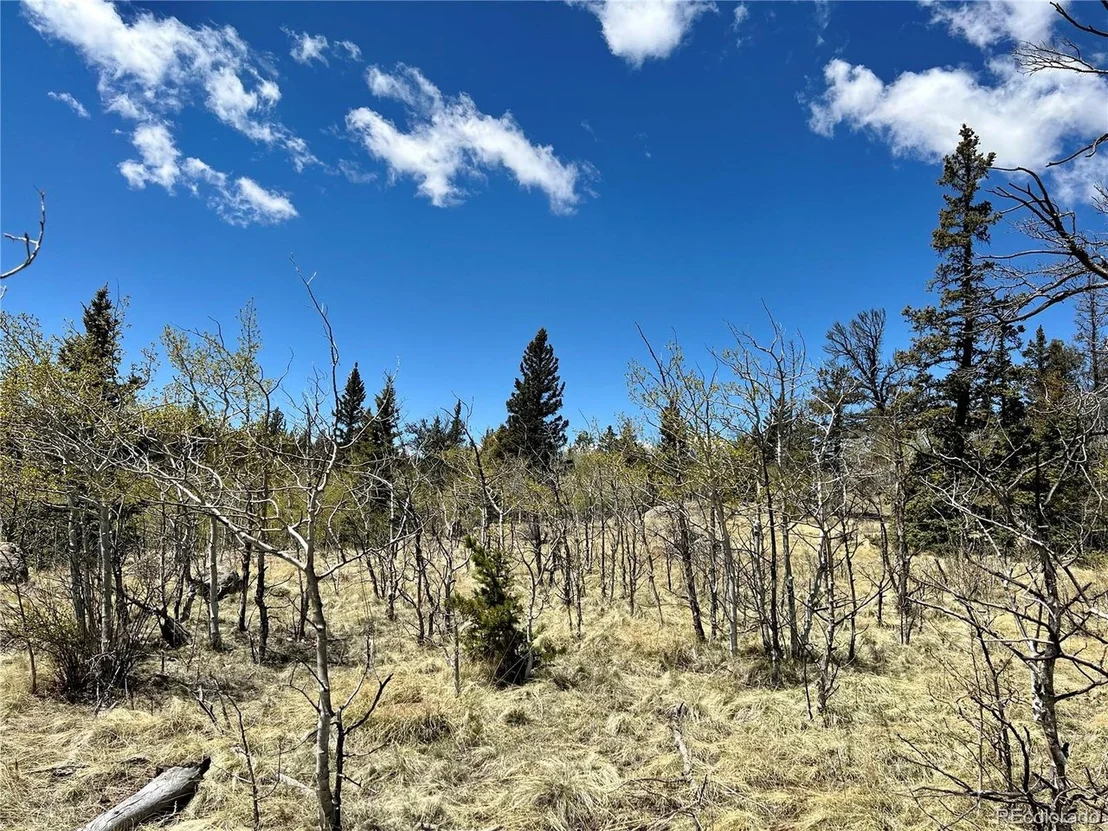 Photo of 201 Kodiak Rd