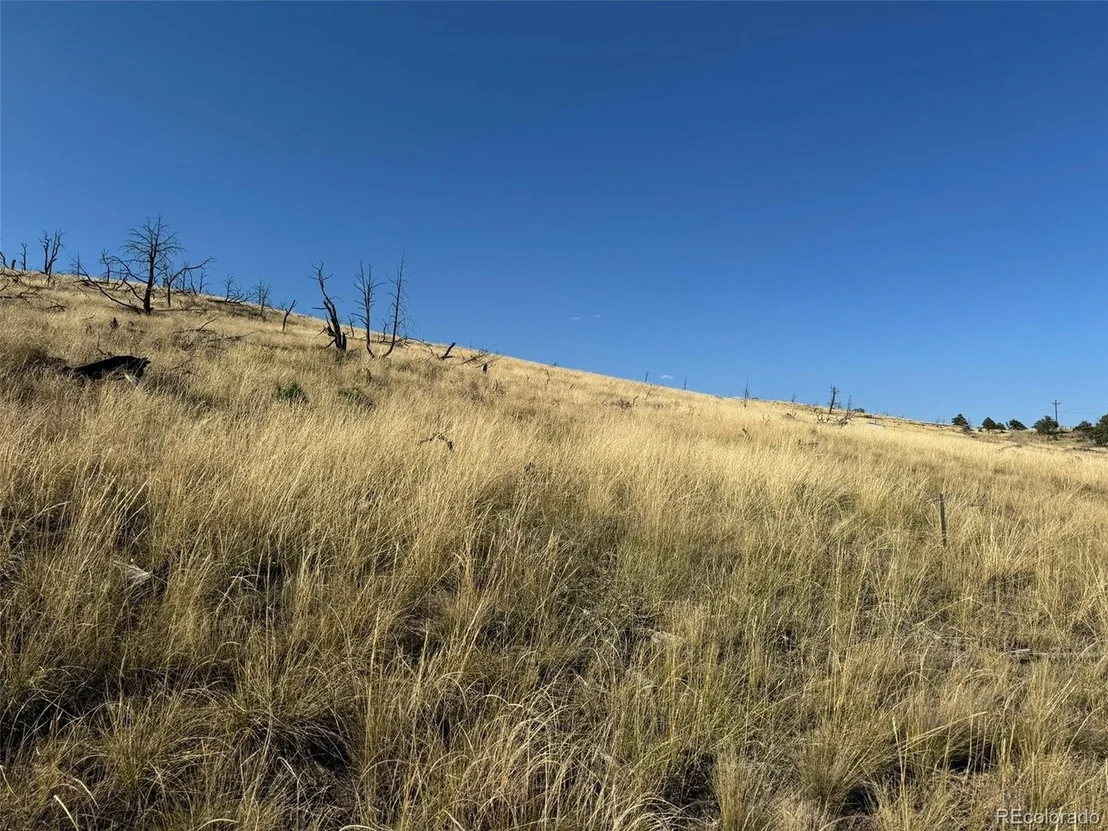 Photo of 50 Copper Gultch Road