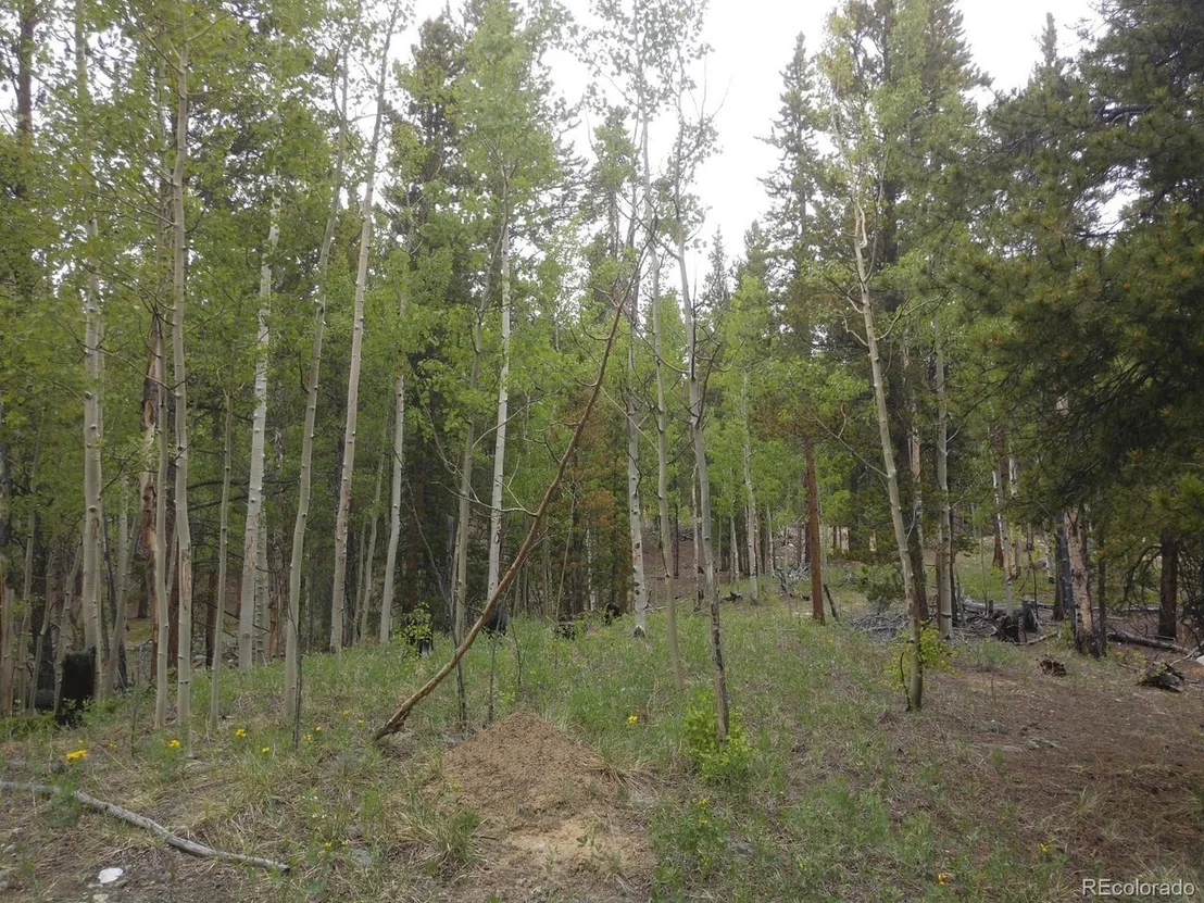 Photo of 317 Ski Doo Rd