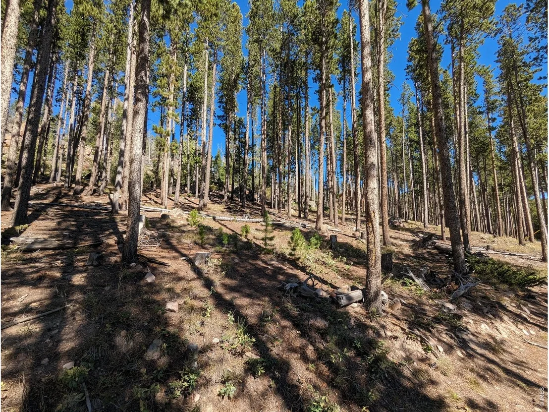 Photo of 2784 Osage Trl