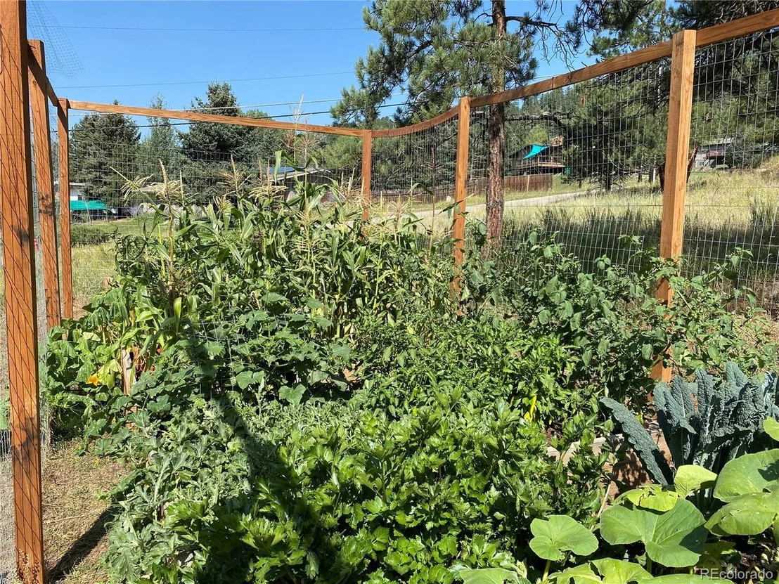 Photo of 27629 Fireweed Dr