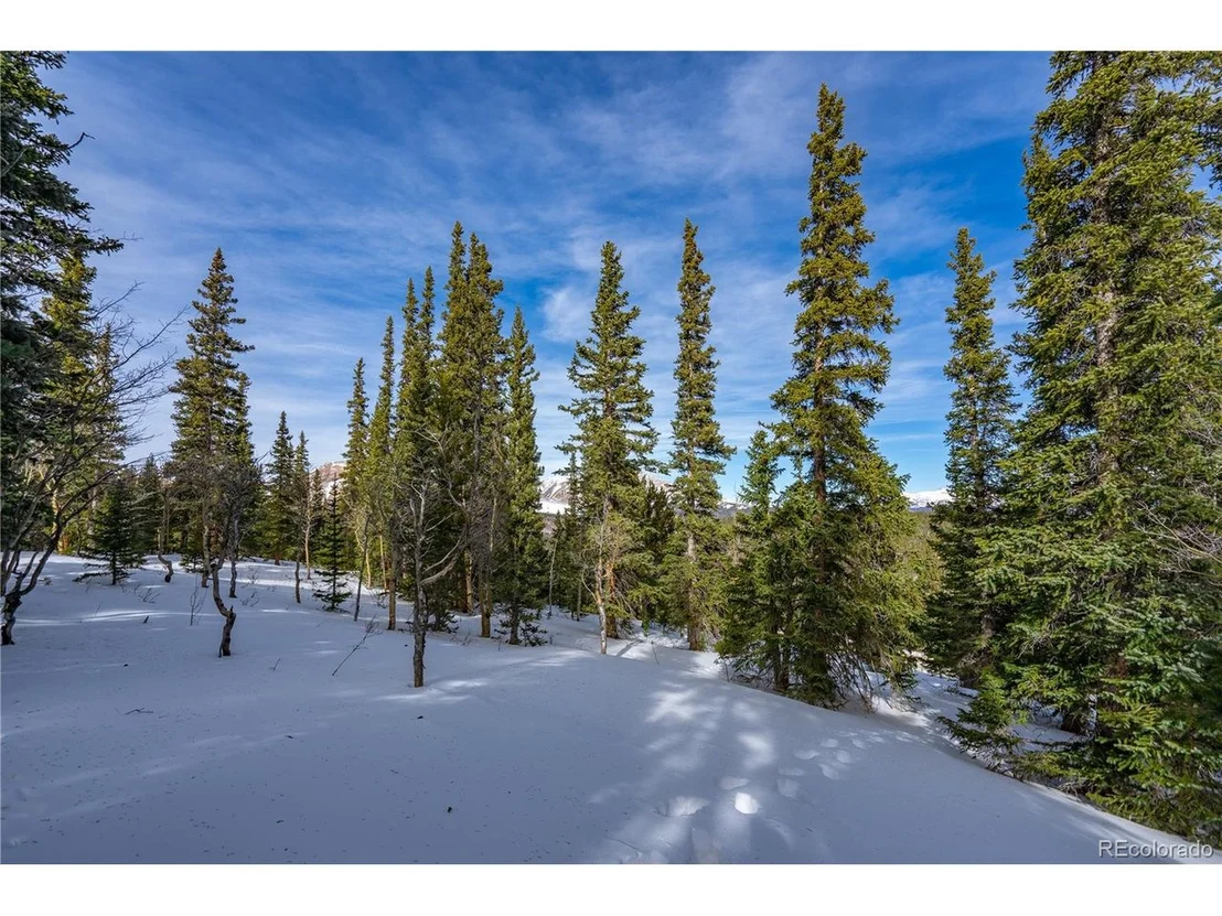 Photo of 503 Silverheels Pl