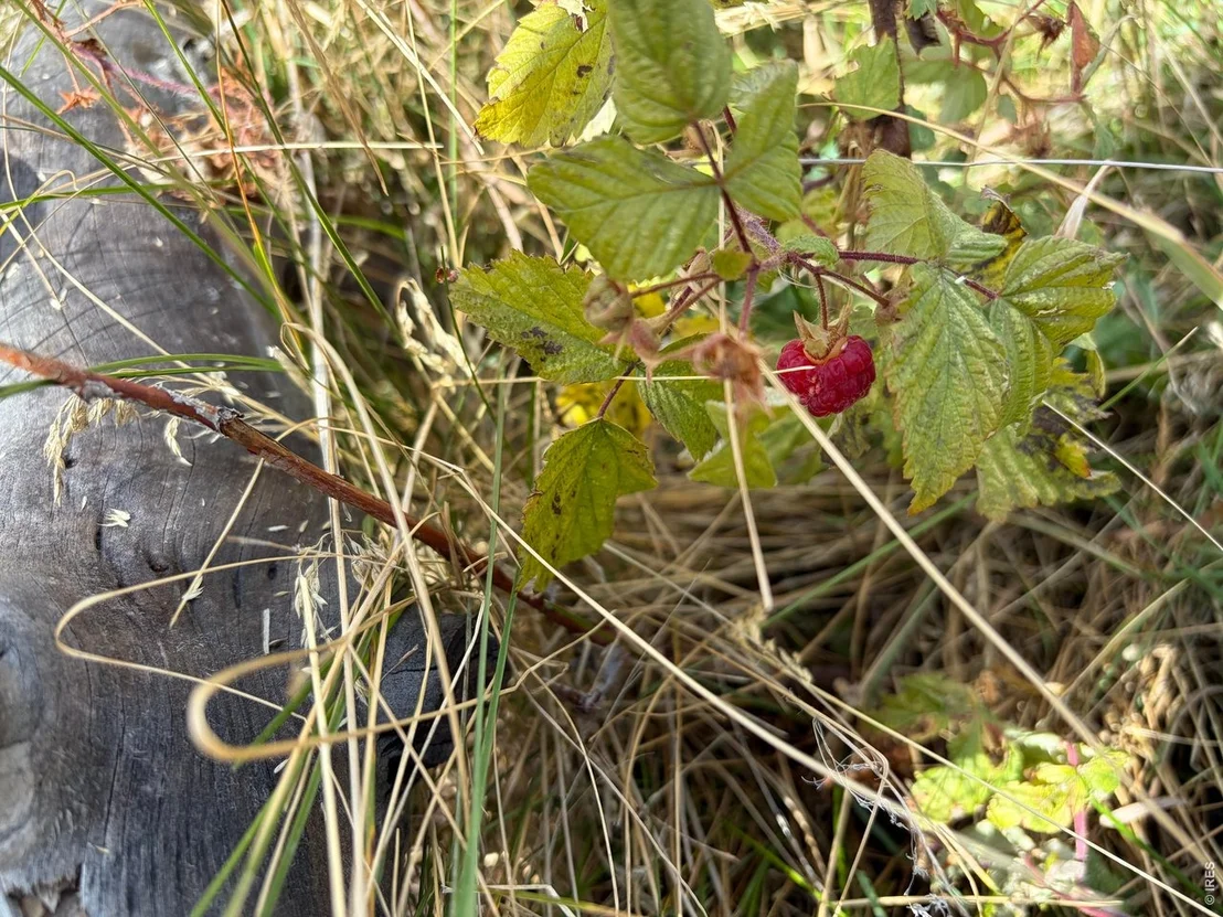 Photo of 2025 Granite Rd