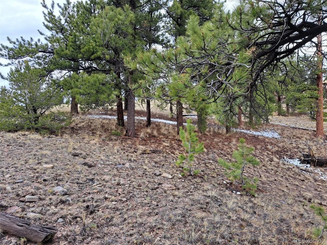 Photo of 783 Remuda