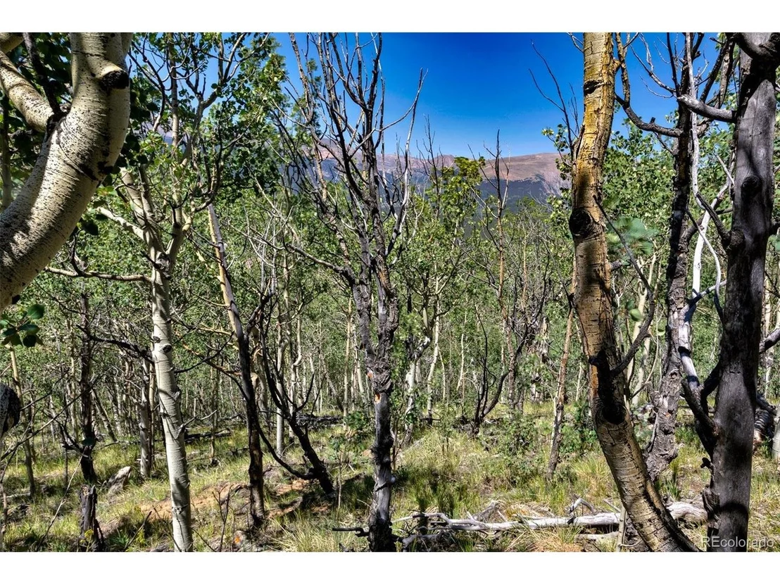 Photo of 497 TEN HIGH Ln