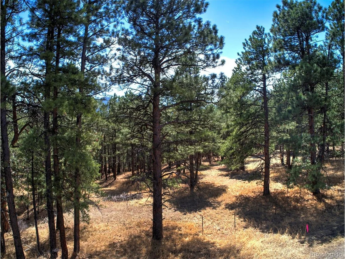 Photo of 27444 Pine Valley Dr