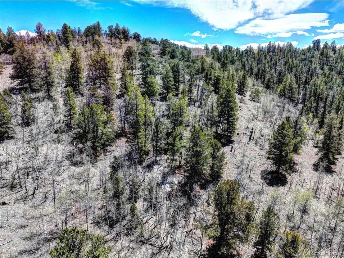 Photo of 194 Bufflehead Cir