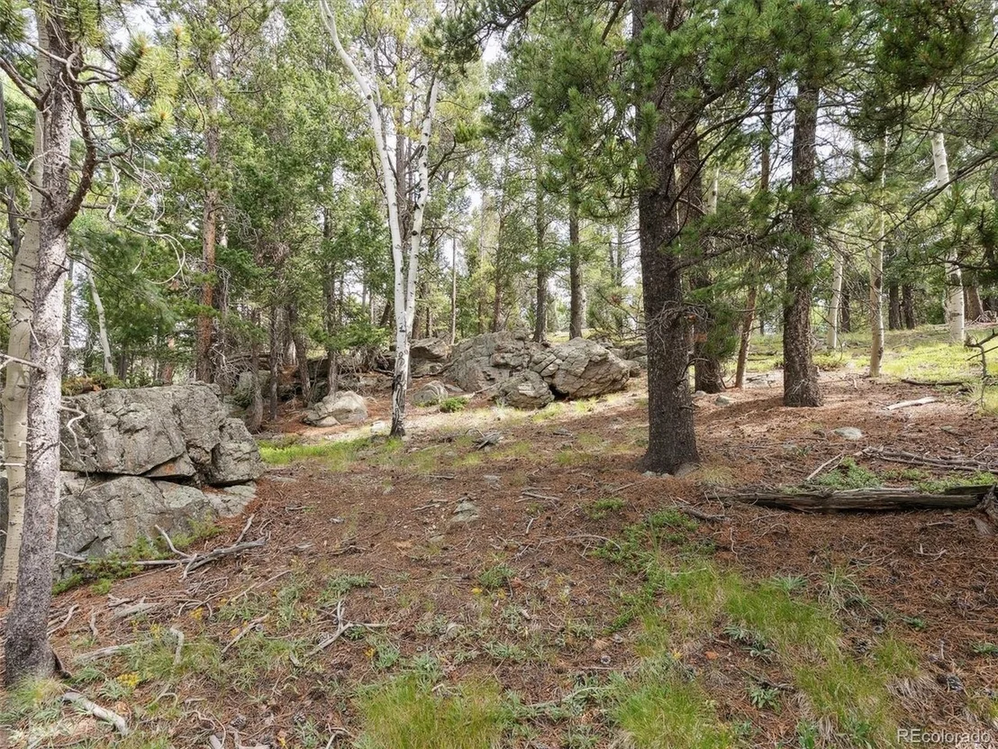 Photo of 0 Snyder Mountain Rd