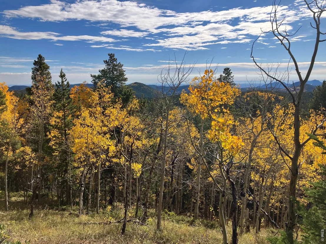 Photo of 1199 Brainard Lake Rd