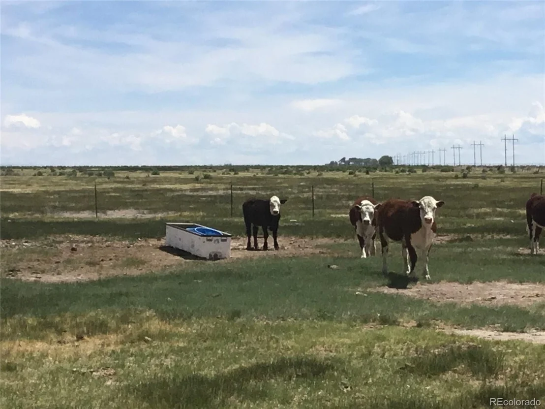 Photo of 19376 County Road 59