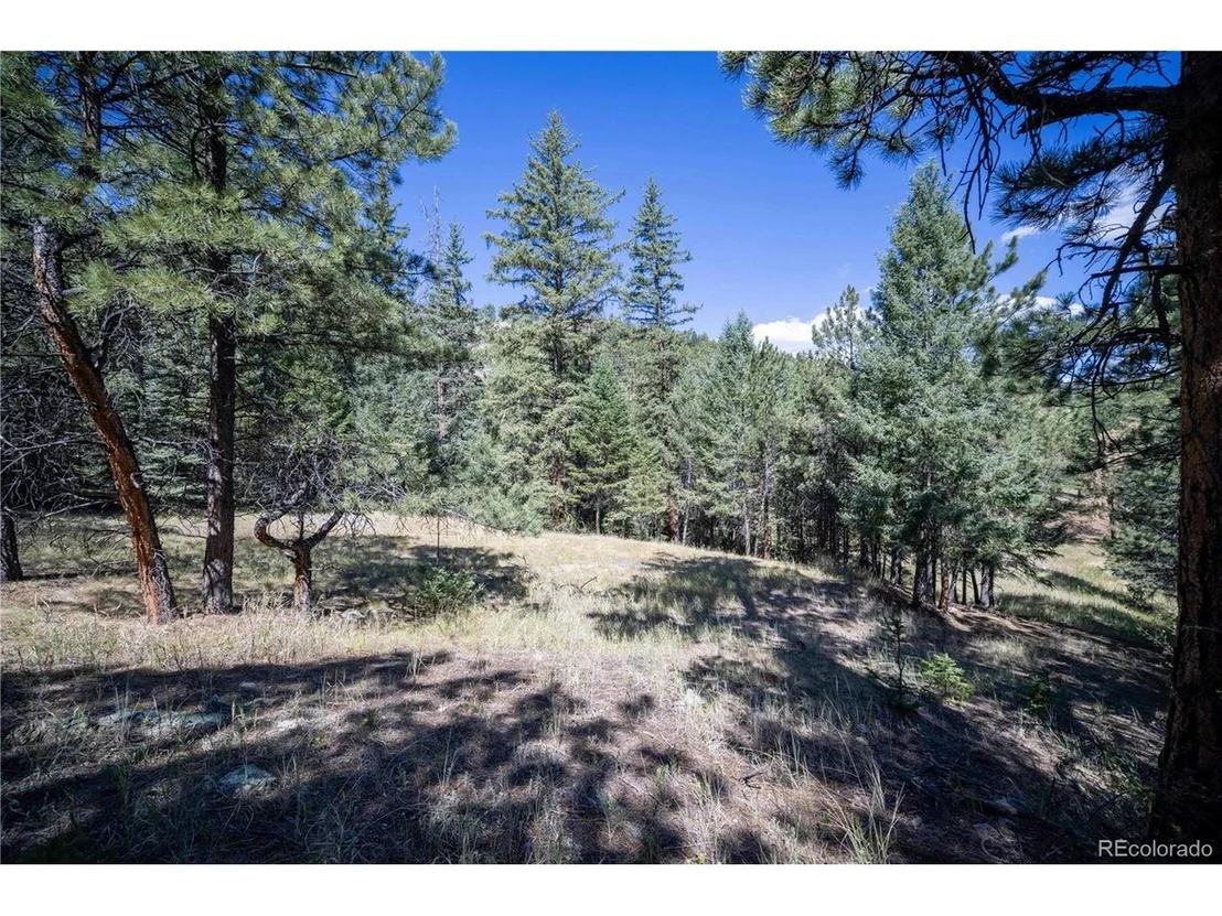 Photo of 14850 Quandary Peak Rd