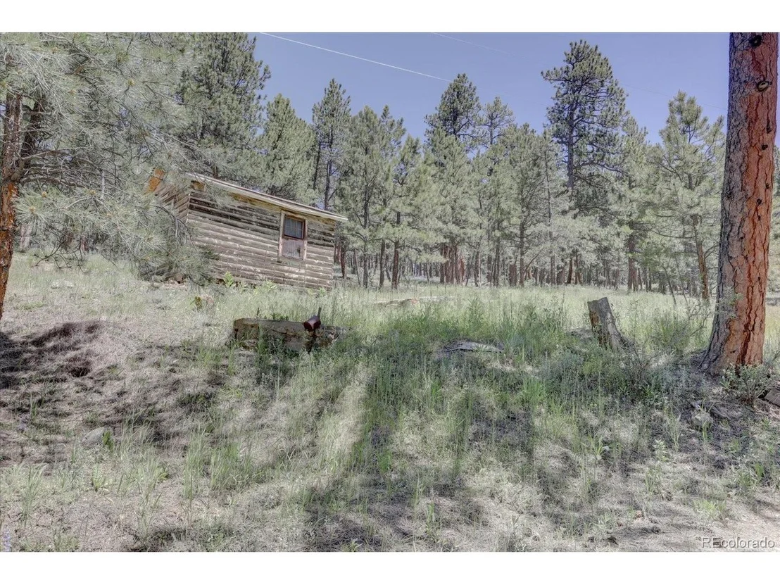 Photo of 29577 Larkspur
