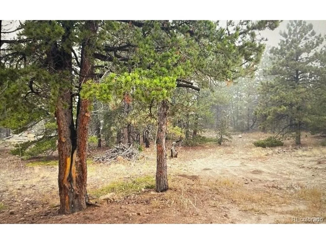 Photo of 275 Bigbee High Rd