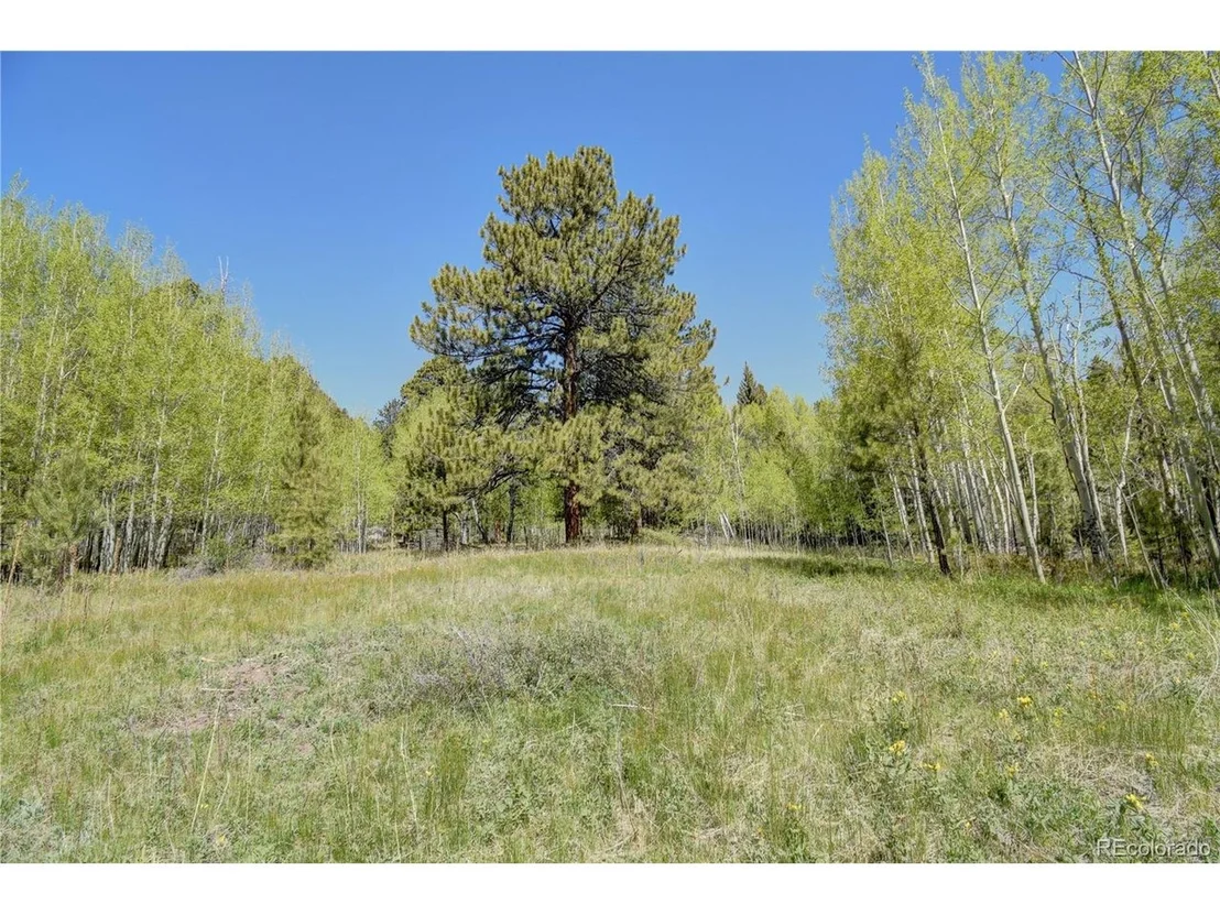 Photo of 8525 County Road 225