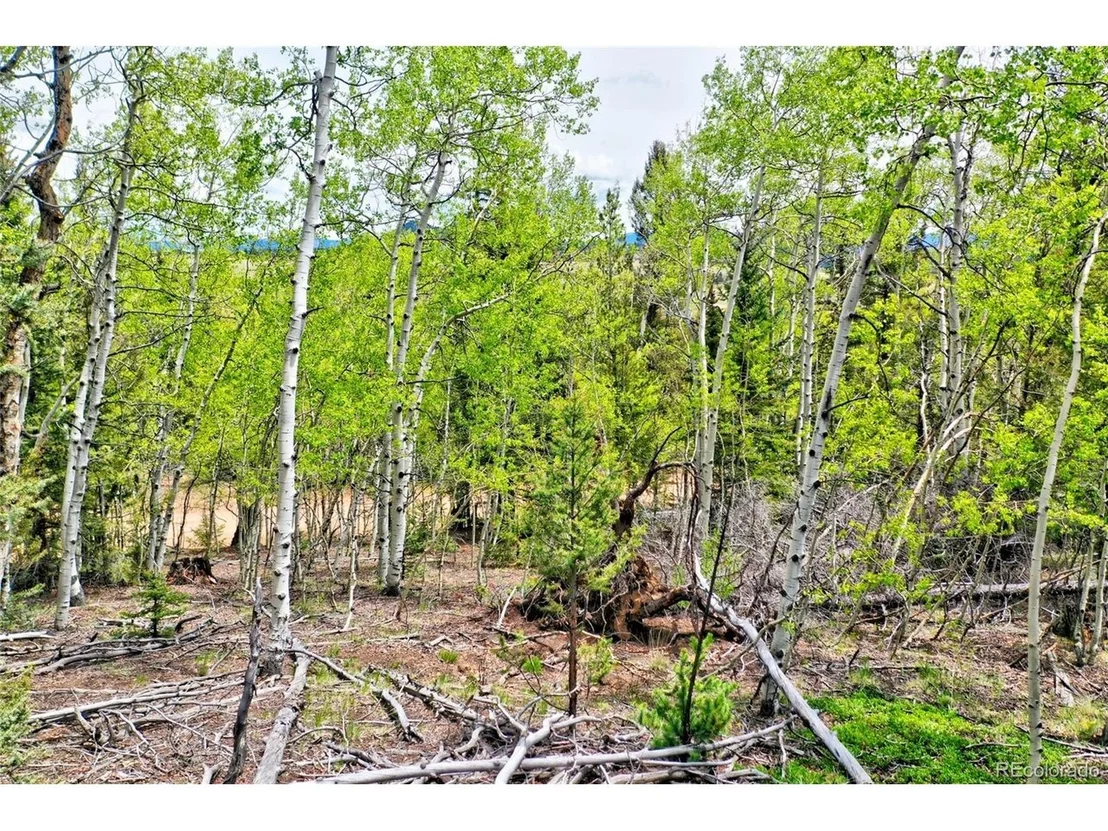 Photo of 28 Old Squaw Rd
