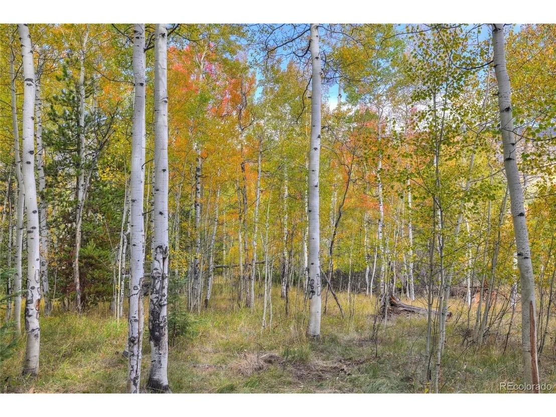 Photo of 185 Easy Bend Trl