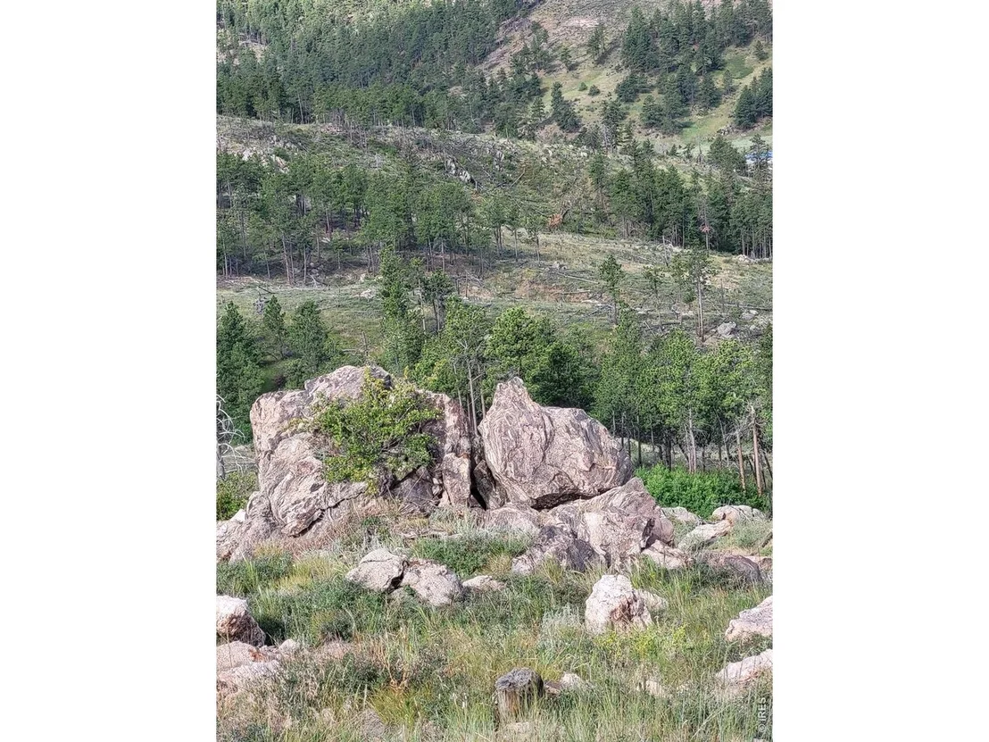 Photo of 1390 Walking Wind Dr