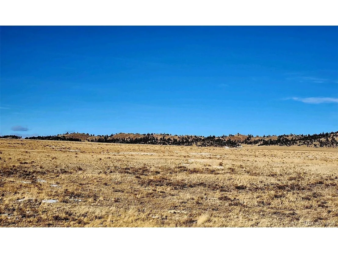 Photo of 4437 Jackson Rd