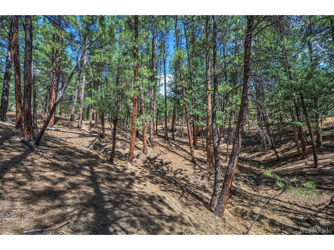 Photo of 27444 Pine Valley Dr