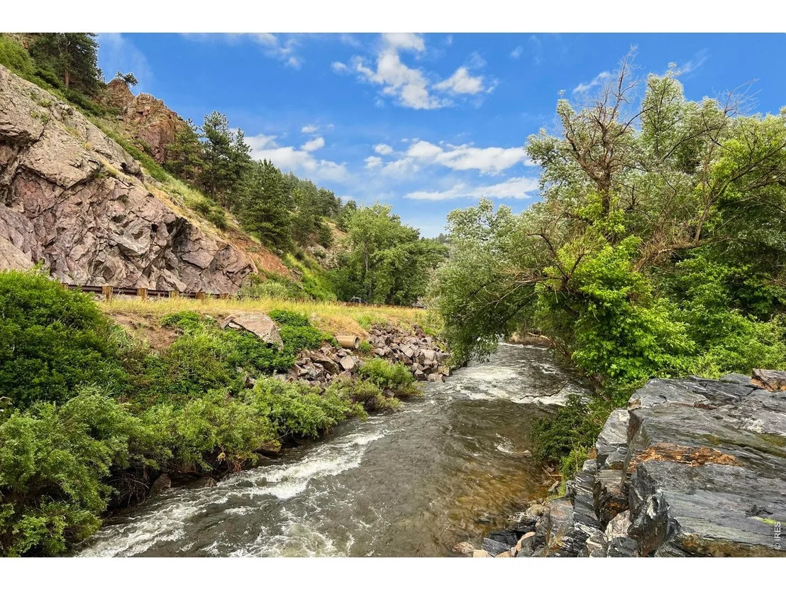 Photo of 41 Silver Spruce