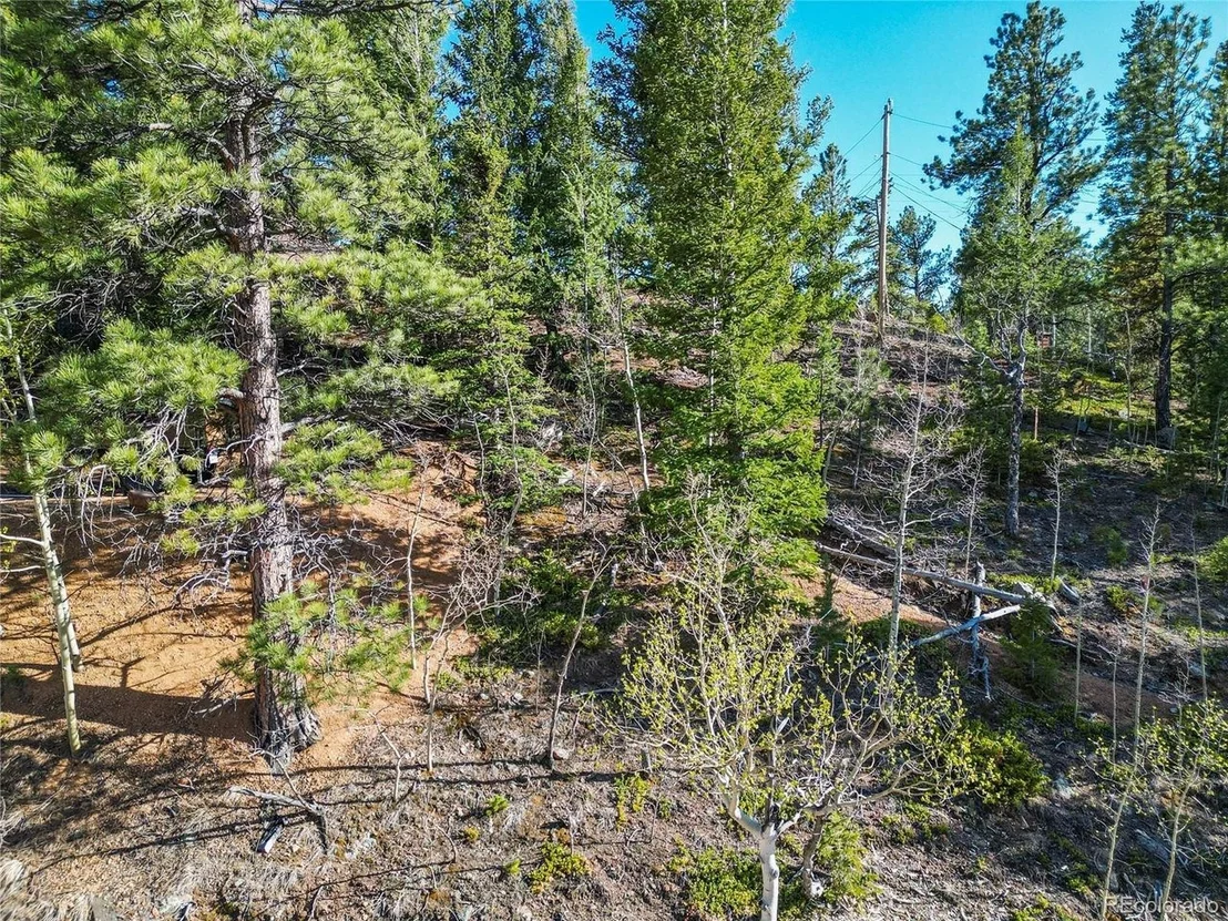 Photo of 272 Wise Rd