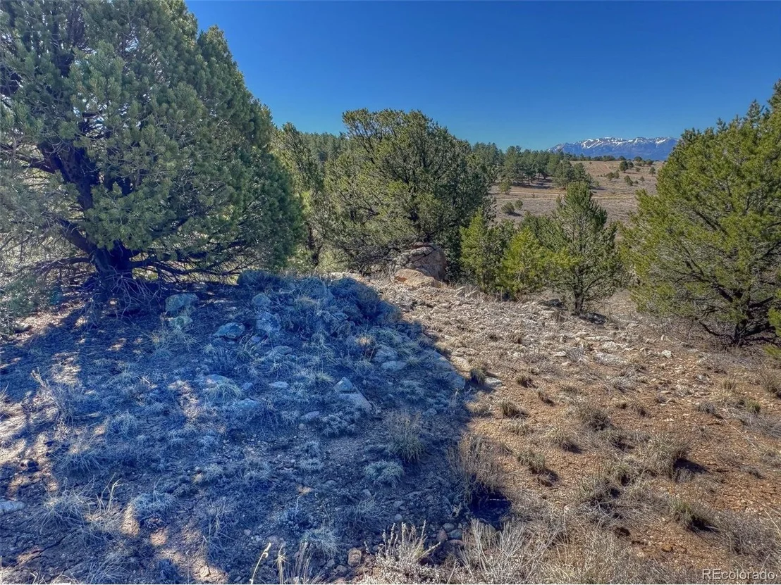 Photo of 885 Crow Rd