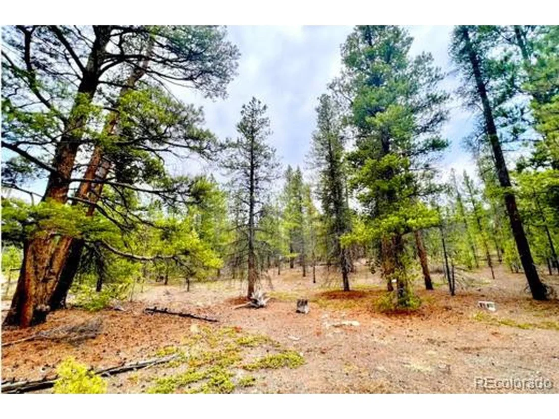 Photo of 275 Mt Elbert Dr