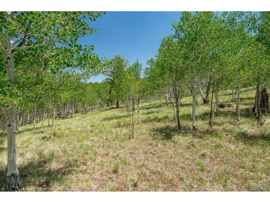 Photo of 2167 Caddo Rd