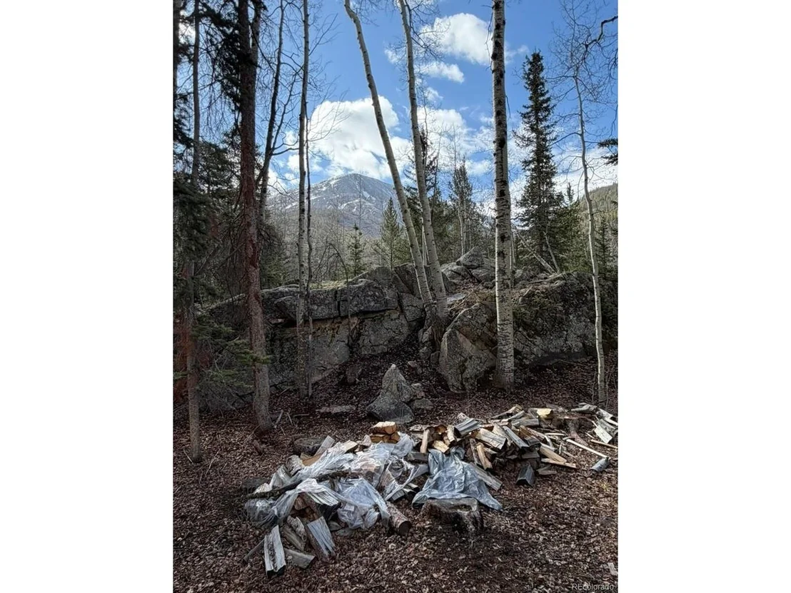 Photo of 25981 County Road 162 E