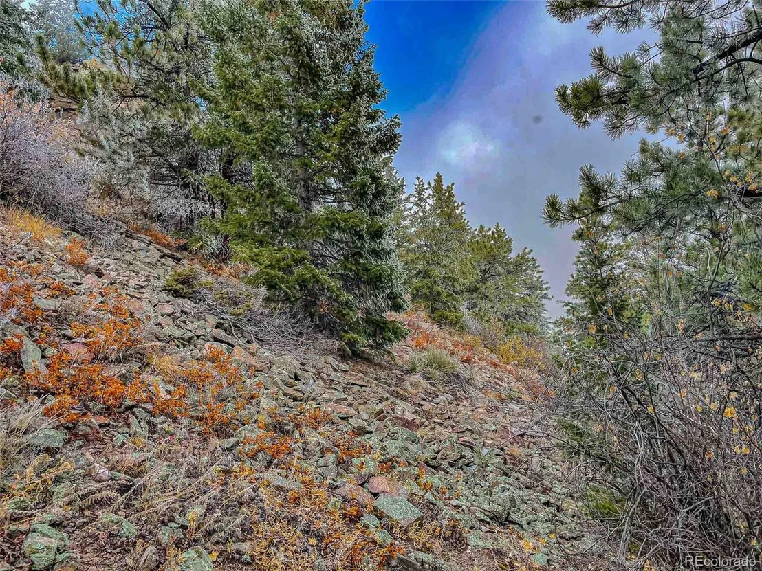 Photo of 1111 Amazon Lode Dr