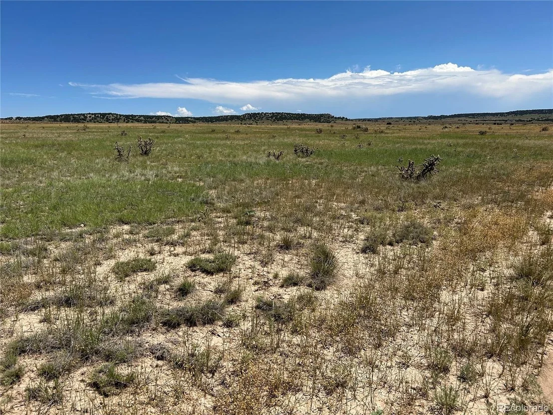 Photo of 4 Outback Ranch