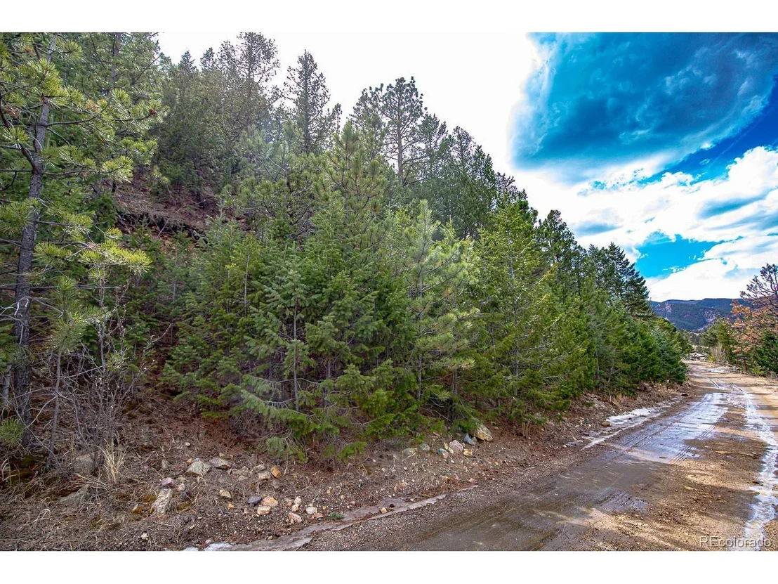 Photo of 123 Divide View Dr