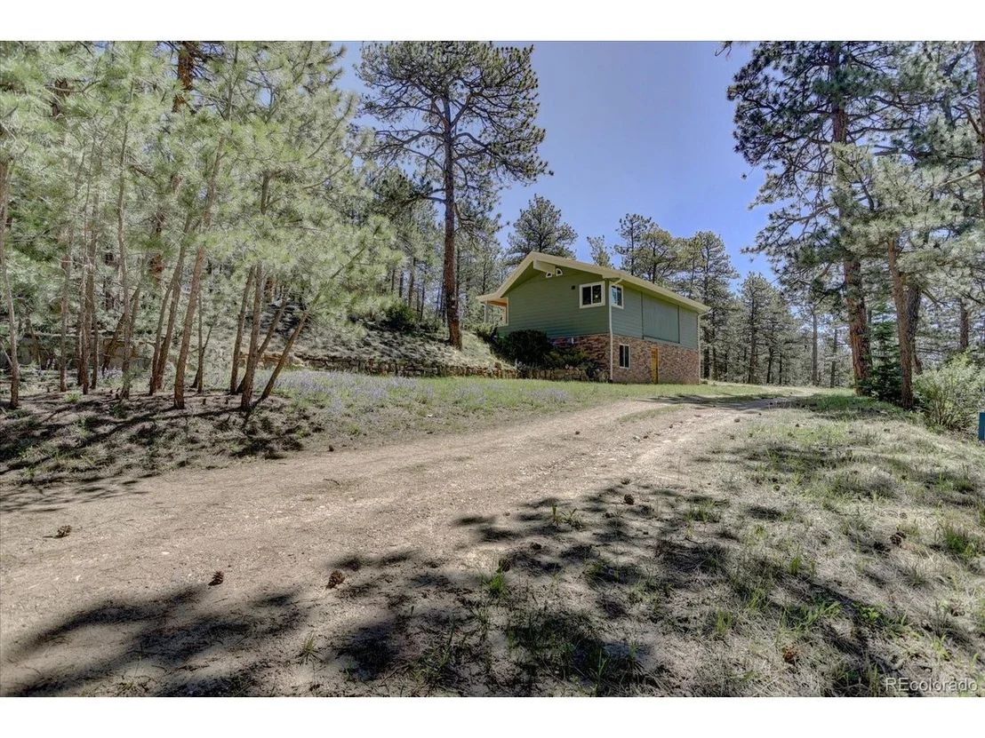 Photo of 29577 Larkspur
