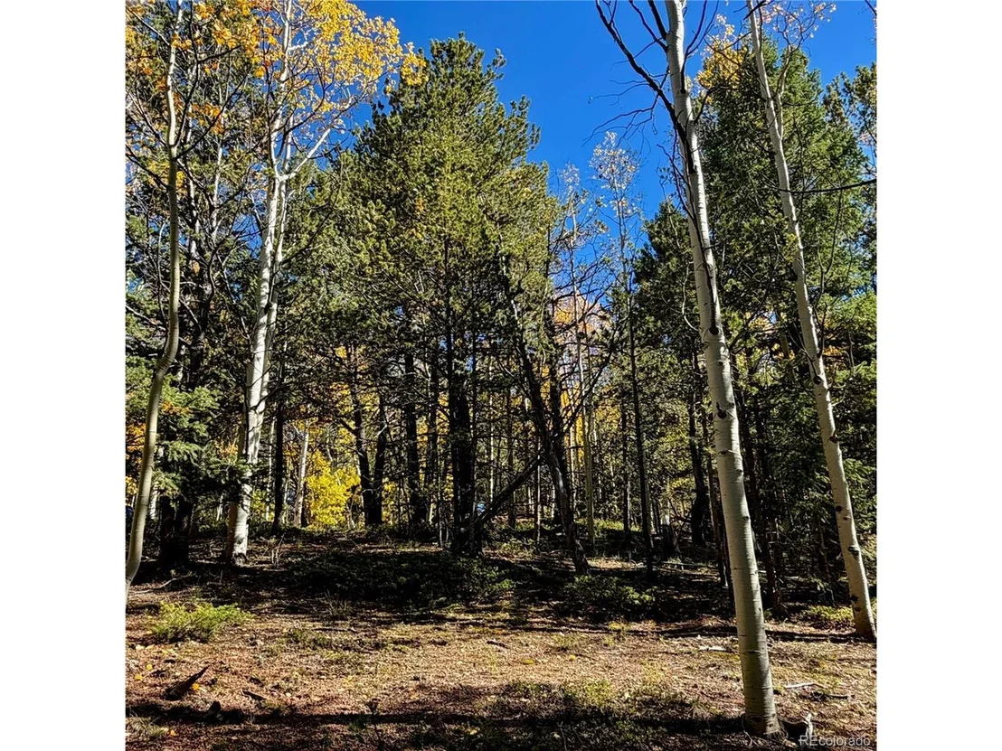 Photo of 773 Timber Ridge Rd