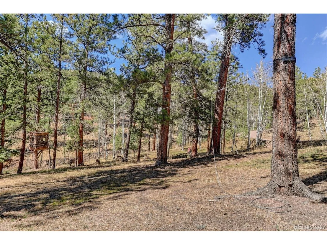 Photo of 34144 Rock Creek Rd