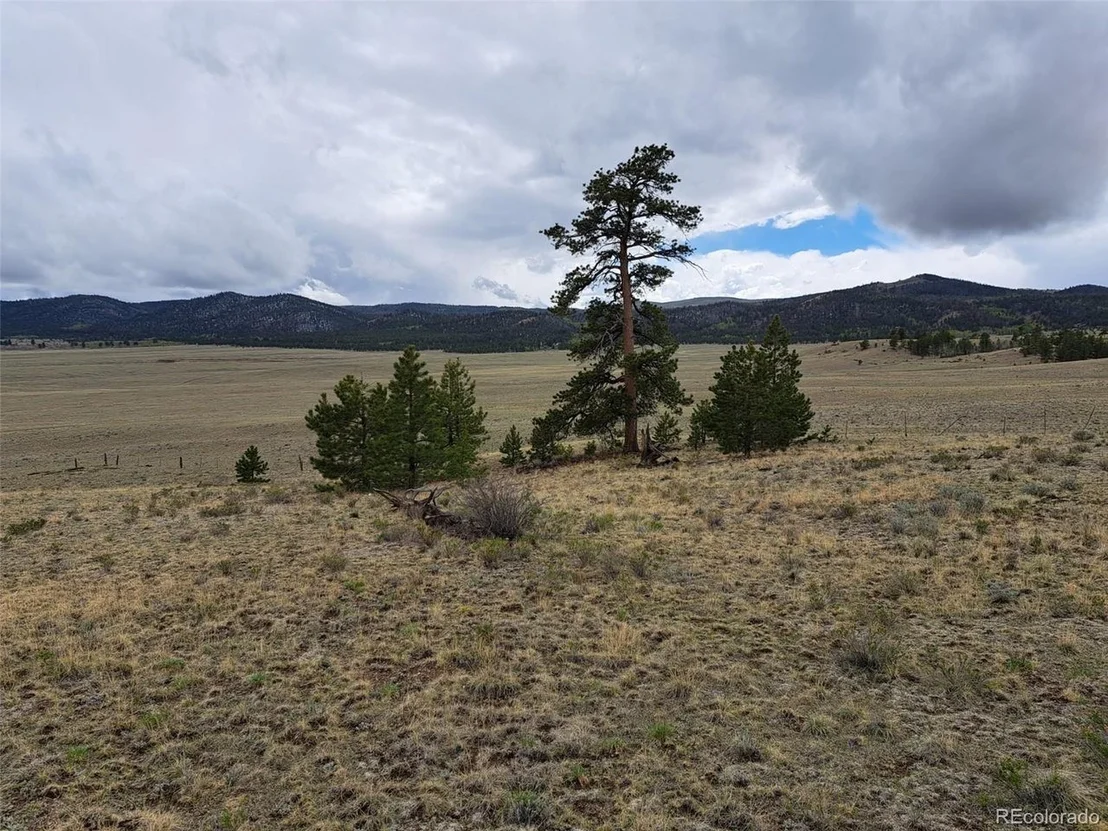Photo of 783 Remuda